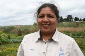 Kiwi Indians urged to join unique veggie garden project
