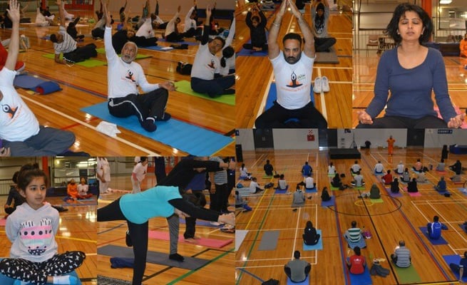 IANZ celebrates International Yoga Day with community