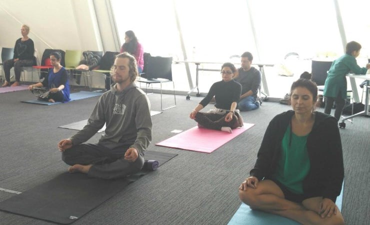Yoga techniques showcased at Chch IDY celebrations