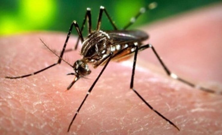 Fiji under threat of Zika Virus Transmission