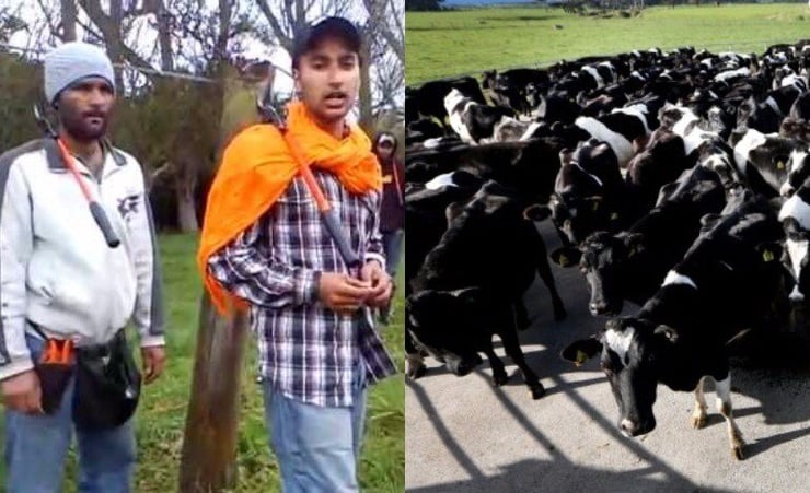 New Zealand needs to find ways to entice new migrants to regional centres