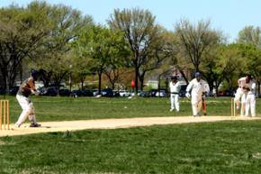 Community Cricket semi-finalist decided