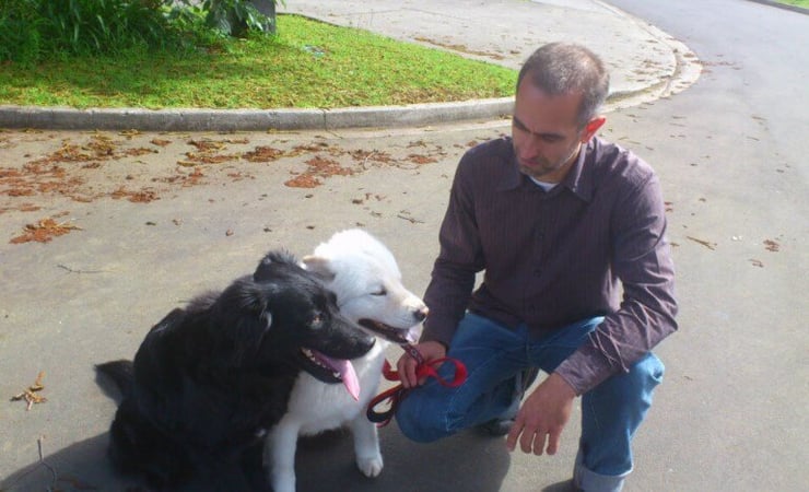 Non-paying dog owners targeted