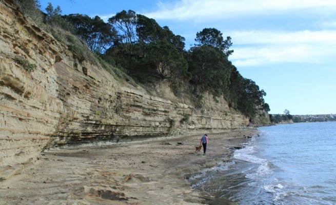 One person dies off cliff fall in Mairangi Bay