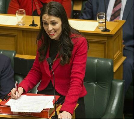 Labour Party appears rusty over Speaker vote in parliament