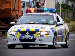 Appeal for information following fleeing driver incident in Manurewa