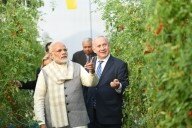 India-Israel ties get fillip with Modi, Netanyahu's Gujarat visit