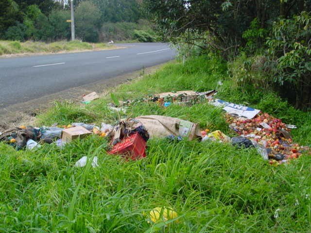 Mayor gets tough on illegal dumping in Auckland streets