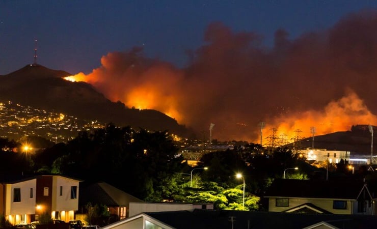 Port Hill fires – one year on