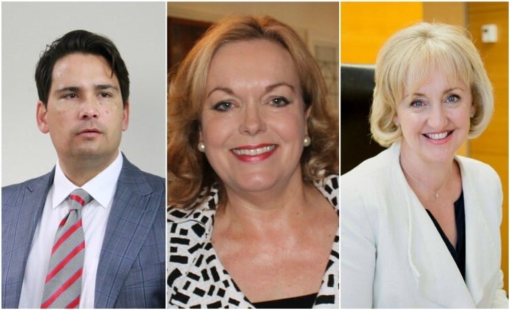National’s leadership contest: Who has got the timing right?