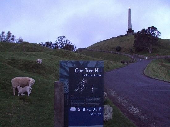 One Tree Hill soon to be vehicle-free