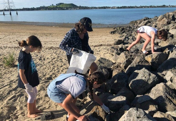 Maungakiekie MP Denise Lee to launch a clean-up drive