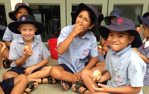 Rise in obesity rates of Auckland school children, new report finds