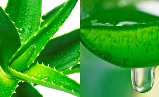 Natural skin healing techniques for healthy, young skin