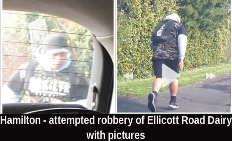 Police hunt for offender in a failed robbery attempt in Hamilton