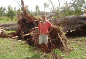 Battered Taveuni still reeling