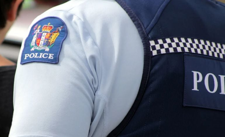 three Masked Men Threaten Resident With Gun In Auckland Home
