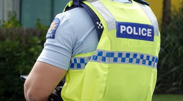 A truck driver allegedly grabbed an Auckland schoolgirl as she walked home on Tuesday.