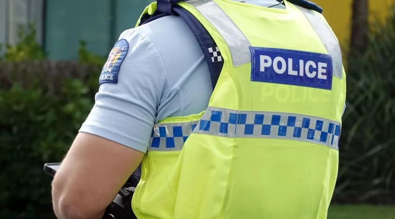 Truck driver grabs schoolgirl in 'concerning' West Auckland incident